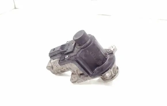 Volkswagen Golf V EGR valve 03G131501N 700678040