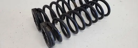Rear coil spring