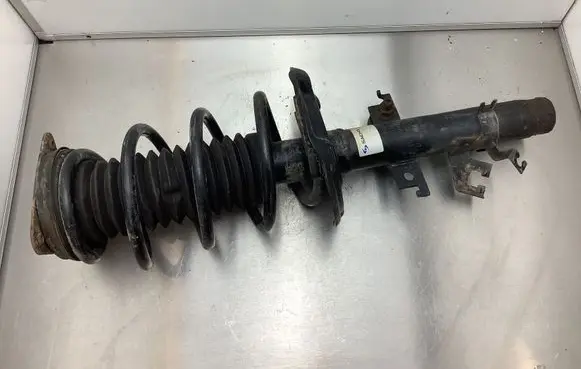 Nissan Qashqai Front shock absorber with coil spring 