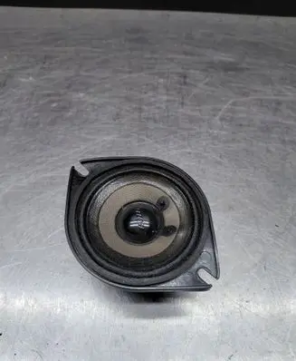 Panel speaker