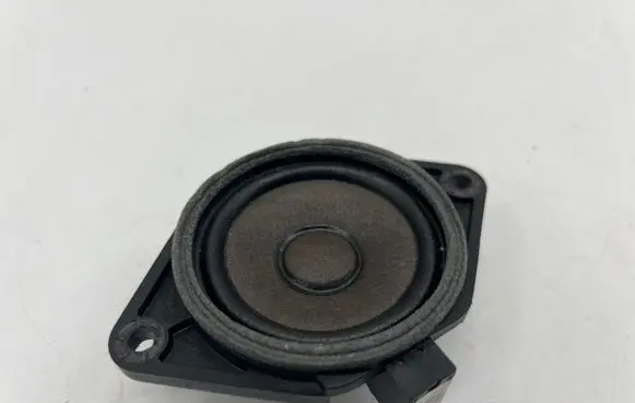 Panel speaker