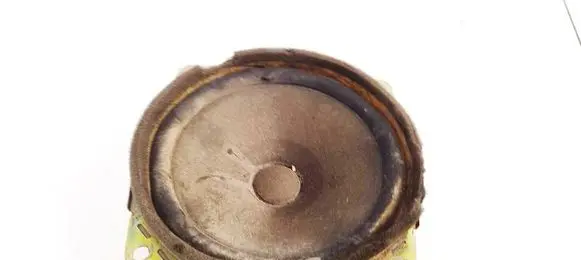 Hyundai Santa Fe Front door speaker 9636026100