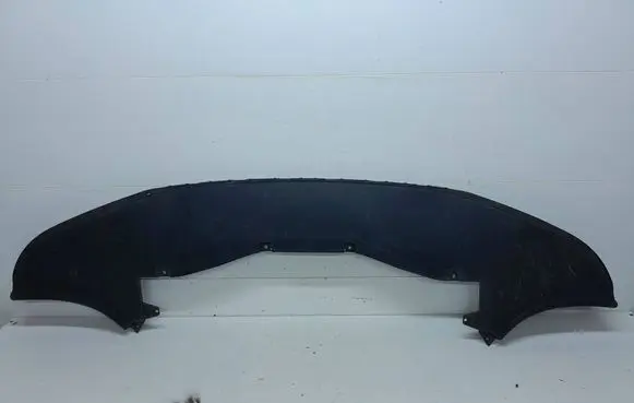 Cupra Born Front bumper skid plate/under tray 10E805915 812005901