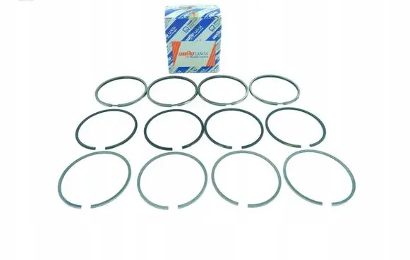 Fiat Uno Piston ring 1900501