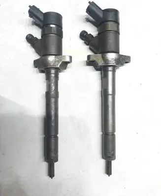 Citroen C4 I Fuel injector 0445110239