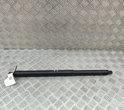 KIA EV6 Tailgate/trunk strut/damper 81841CV100