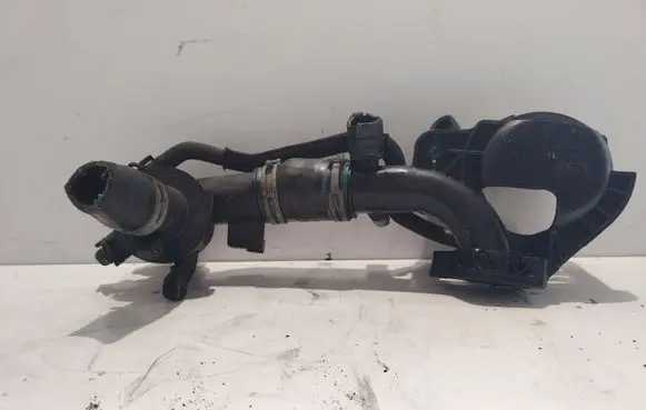 Thermostat/thermostat housing