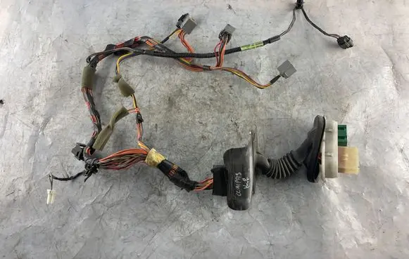 Front door wiring loom