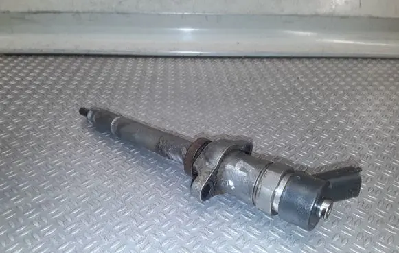 Citroen C4 I Picasso Fuel injector 0445110259