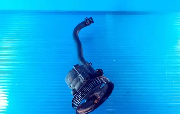Renault Scenic I Power steering pump 26090956 PL031781A6