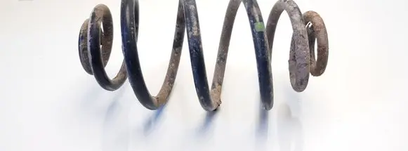 Volkswagen PASSAT B5.5 Rear coil spring