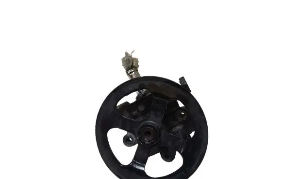 Peugeot 4007 Power steering pump 77231205