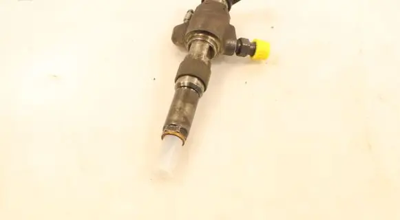 Citroen C4 I Picasso Fuel injector 9674973080