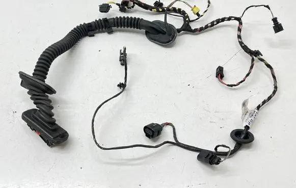 Porsche Cayenne (92A) Front door wiring loom 7P5971162GM 31072015 TAB016790B