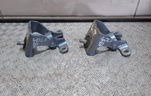 Volkswagen Golf VI Tailgate/trunk/boot hinge