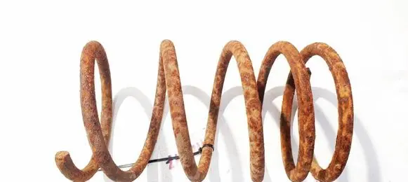 Rear coil spring