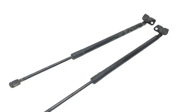 Ford Escape IV Tailgate/trunk strut/damper LJ6BS406A10AC