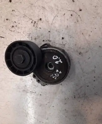 Peugeot 307 Alternator belt tensioner 0381419