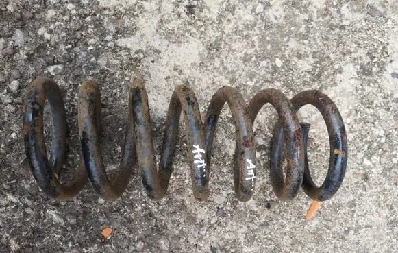Opel Antara Rear coil spring