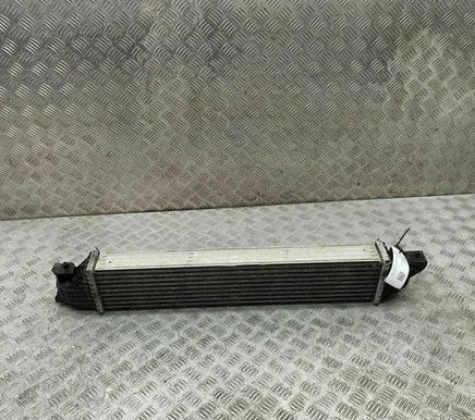 Honda Civic X Intercooler radiator 197105BFAA030