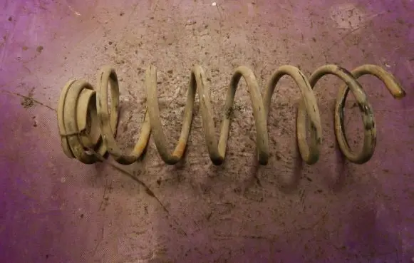 Chevrolet Kalos Rear coil spring