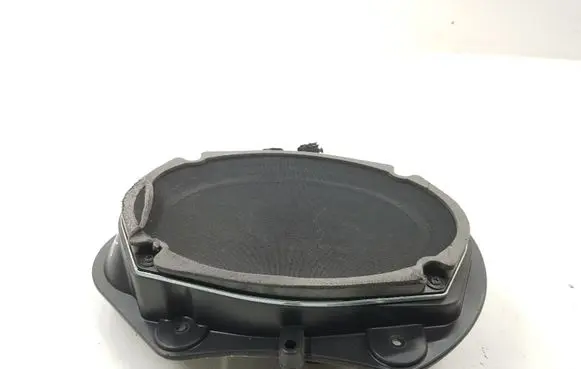Chrysler 300 - 300C Front door speaker P05059067AC