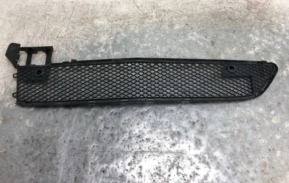 Mercedes-Benz B W246 W242 Front bumper lower grill A2468852222