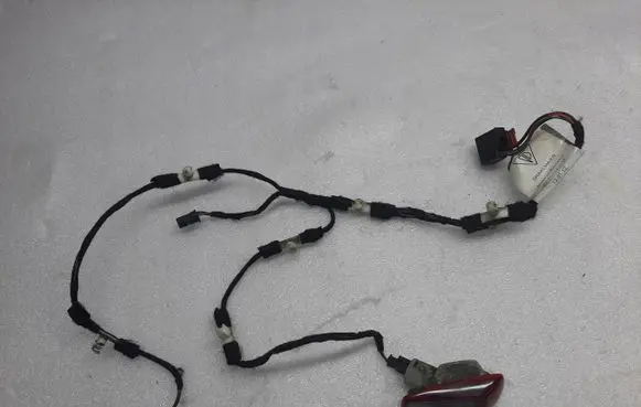 Other wiring loom