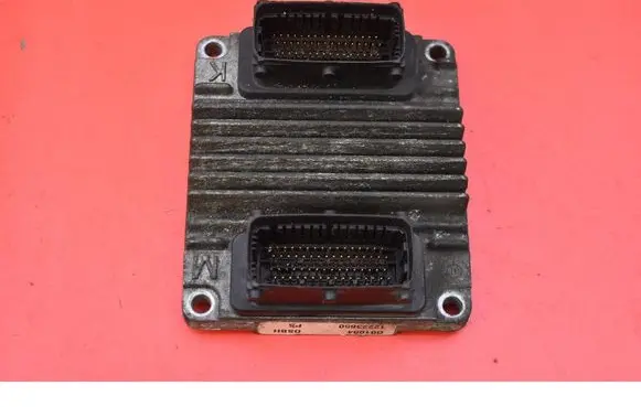 Engine control unit/module ECU