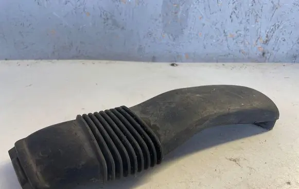 Renault Megane III Air intake hose/pipe 244930005R T06009A183