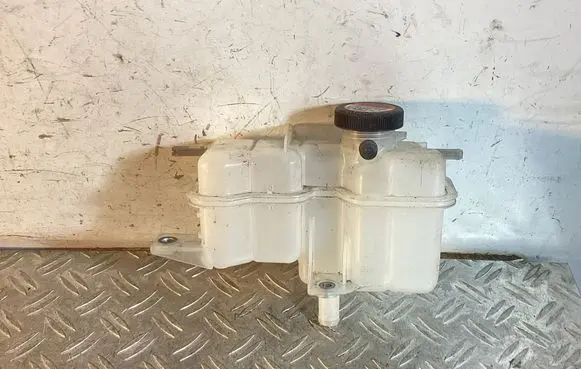 Lexus RX 450H Brake fluid reservoir 