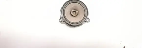 Renault Trafic III (X82) Front door speaker 57744928156