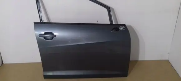 Seat Ibiza IV (6J,6P) Front door