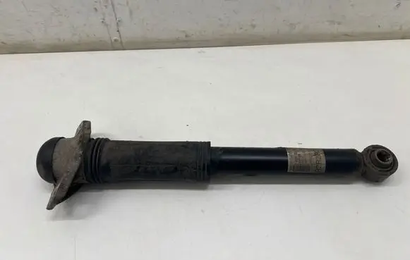 Toyota C-HR I Rear shock absorber/damper 48530F4020