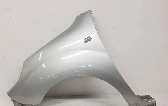 Renault Kangoo II Fender 631015870R