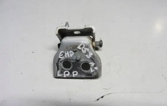 Citroen DS3 Front door hinge set dfgjb