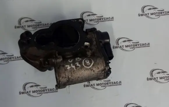 Renault Trafic II (X83) EGR valve 8200797706 A2C53179081