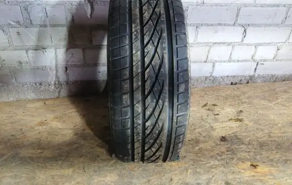 Volkswagen Polo R16 summer tire 20555R16