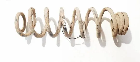 Skoda Roomster (5J) Rear coil spring