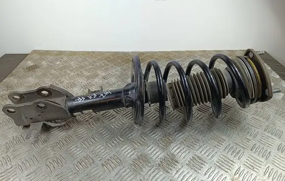 Mazda CX-9 Front shock absorber with coil spring 61206965 211208 DATN3934700