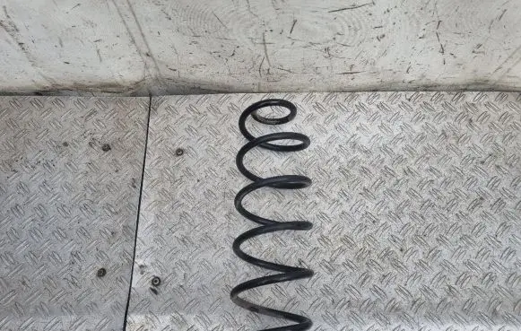 Citroen C4 SpaceTourer Rear coil spring