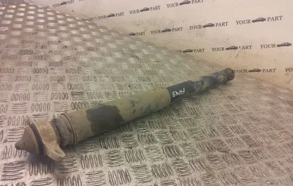 Hyundai Bayon Rear shock absorber/damper 55300-Q0KA0