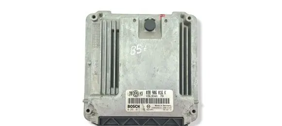 Volkswagen PASSAT B5.5 Engine control unit/module 038906016K 0281011145