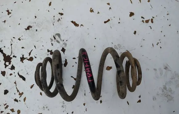 Renault Trafic II (X83) Rear coil spring 