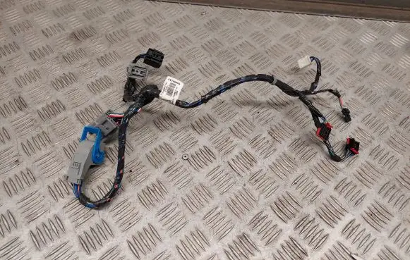Chrysler Pacifica Other wiring loom FV166004