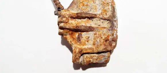 Peugeot 206 Front brake caliper