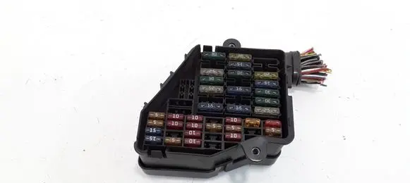Volkswagen PASSAT B5.5 Fuse module