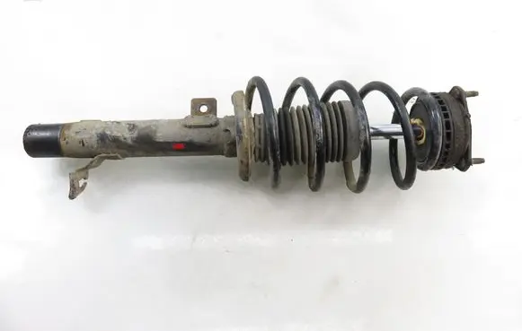 Ford Fusion Front shock absorber with coil spring 
