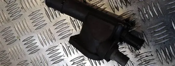 Thermostat/thermostat housing
