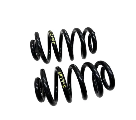 Rear coil spring